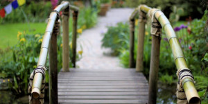 Beitragsbild des Blogbeitrags 13 Fotografie Tipps für Anfänger & Profis