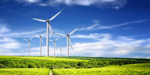Beitragsbild des Blogbeitrags Windkraft – schuld am Vogeltod?