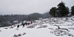 Beitragsbild des Blogbeitrags Salzburger Bergwanderführer Winterkurs 