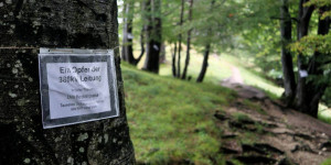 Beitragsbild des Blogbeitrags 380 kV Leitung in Salzburg – Aktuelles