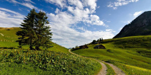 Beitragsbild des Blogbeitrags Gesetzlicher Rahmen für Bergwanderführer