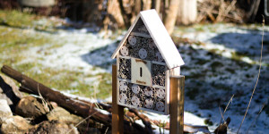 Beitragsbild des Blogbeitrags Nisthilfe – den Wildbienen zuliebe