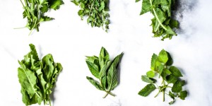Beitragsbild des Blogbeitrags {Food} Pasta mit Wildkräuter Pesto und Zitrone