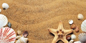 Beitragsbild des Blogbeitrags {Lifestyle} Deine veganen Beauty Holiday Essentials – (Werbung)
