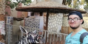 Beitragsbild des Blogbeitrags Ägyptischer Zoo färbte Esel zu Zebras um
