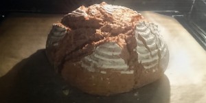 Beitragsbild des Blogbeitrags Auf der Suche nach Krustenbrot