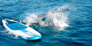 Beitragsbild des Blogbeitrags Stand up Paddle ist gleich SUP?