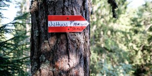 Beitragsbild des Blogbeitrags Das Bergfex-Problem 
