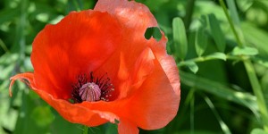 Beitragsbild des Blogbeitrags Fotografie ist mehr als nur ein Hobby 