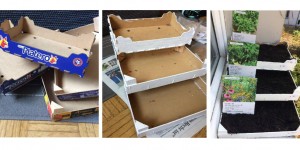 Beitragsbild des Blogbeitrags DIY – Ein Fensterbrett-Gärtchen