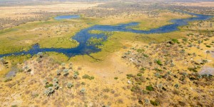 Beitragsbild des Blogbeitrags Okavango Delta – Safari im Naturparadies!