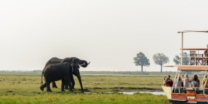 Beitragsbild des Blogbeitrags Safari im Chobe Nationalpark – Im Reich der Elefanten 