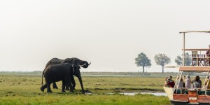 Beitragsbild des Blogbeitrags Safari im Chobe Nationalpark – Im Reich der Elefanten