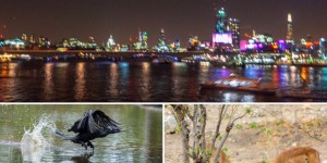 Beitragsbild des Blogbeitrags 8 Gründe für unscharfe Fotos – und was du dagegen tun kannst