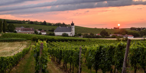 Beitragsbild des Blogbeitrags Ein Wochenende im Freigut Thallern