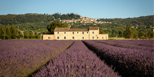 Beitragsbild des Blogbeitrags Die perfekte Provence Rundreise 