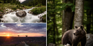 Beitragsbild des Blogbeitrags Fotoparade 2021: Ein fotografischer Rückblick