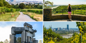 Beitragsbild des Blogbeitrags Wandern in Wien: Die schönsten Stadtwanderwege in der Donaumetropole 
