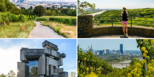 Beitragsbild des Blogbeitrags Wandern in Wien: Die schönsten Stadtwanderwege in der Donaumetropole