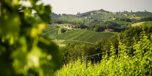 Beitragsbild des Blogbeitrags 20 Südsteiermark Tipps: Urlaub in der südlichen Steiermark