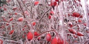 Beitragsbild des Blogbeitrags freikarte.at macht Winterpause und sagt Danke!