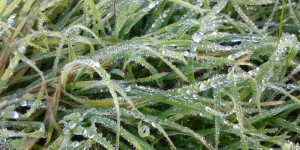 Beitragsbild des Blogbeitrags freikarte.at Feedbacks im Februar 2019