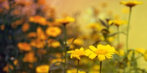 Beitragsbild des Blogbeitrags freikarte.at Feedbacks im April 2019