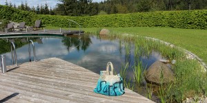 Beitragsbild des Blogbeitrags Ankommen … durchatmen … Kraft tanken im Hotel Schwarz Alm