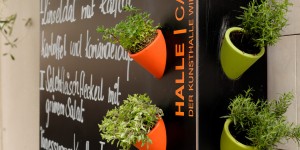 Beitragsbild des Blogbeitrags Mein heutiger Mittagstipp – Café Halle im Museumsquartier