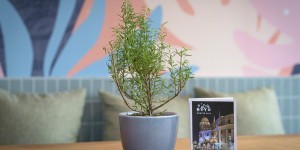 Beitragsbild des Blogbeitrags Das Klyo in der Urania – ein neuer Hotspot in Wien für Foodies