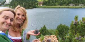 Beitragsbild des Blogbeitrags Zirbelle Naturkosmetik – Schönheit durch die Kraft der Natur