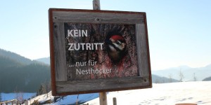 Beitragsbild des Blogbeitrags 4 Genussadressen in Österreich die ihr kennen solltet