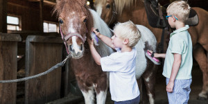 Beitragsbild des Blogbeitrags 2 Geheimtipps mit Bauernhof-Feeling für Familien im Salzburgerland 