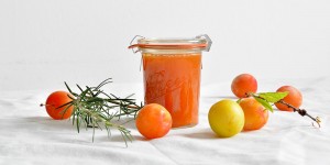 Beitragsbild des Blogbeitrags 2 Rezepte für Ringlotten