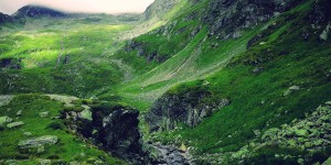 Beitragsbild des Blogbeitrags Natural spectacle 