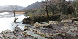 Beitragsbild des Blogbeitrags Killarney National Park 