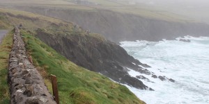 Beitragsbild des Blogbeitrags Sheep’s Head