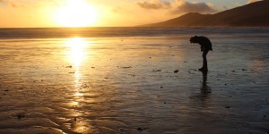 Beitragsbild des Blogbeitrags Looking for shells 