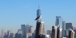 Beitragsbild des Blogbeitrags Staten Island view