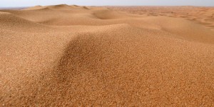 Beitragsbild des Blogbeitrags Desert dream