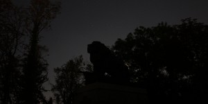 Beitragsbild des Blogbeitrags The Lion King by night 