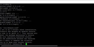 Beitragsbild des Blogbeitrags Raspberry Pi Update von „Stretch“ zu „Buster“ für Webanwendungen