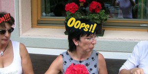 Beitragsbild des Blogbeitrags Jung ein Gimpel, alt ein Simpel
