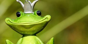 Beitragsbild des Blogbeitrags Mein Tausendsassa