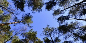 Beitragsbild des Blogbeitrags Die Sieben-Meilen Wanderung