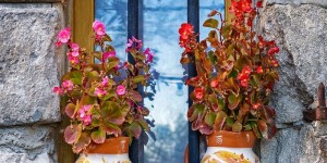 Beitragsbild des Blogbeitrags Dorfleben – Herzbeben