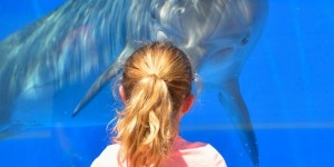 Beitragsbild des Blogbeitrags Etwas Neues anfangen, jetzt noch? 