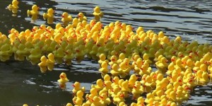 Beitragsbild des Blogbeitrags Tag der lahmen Ente 