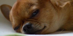 Beitragsbild des Blogbeitrags Und alles wirft mich aus der Bahn