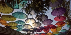 Beitragsbild des Blogbeitrags 5 Schritte zum Sinn des Lebens?